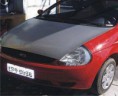 /album/servi%c3%a7os%20realizados/capo-jpg/