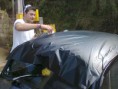 /album/servi%c3%a7os%20realizados/foto0135-jpg/
